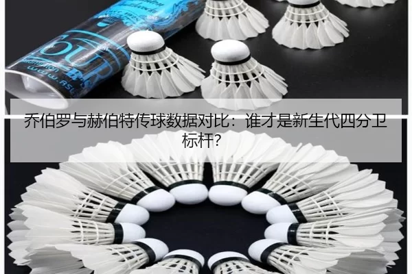 qiao-bo-luo-yu-he-bo-te-chuan-qiu-shu-ju-dui-bi-shui-cai-shi-xin-sheng-dai-si-fen-wei-biao-gan-2-492.jpg